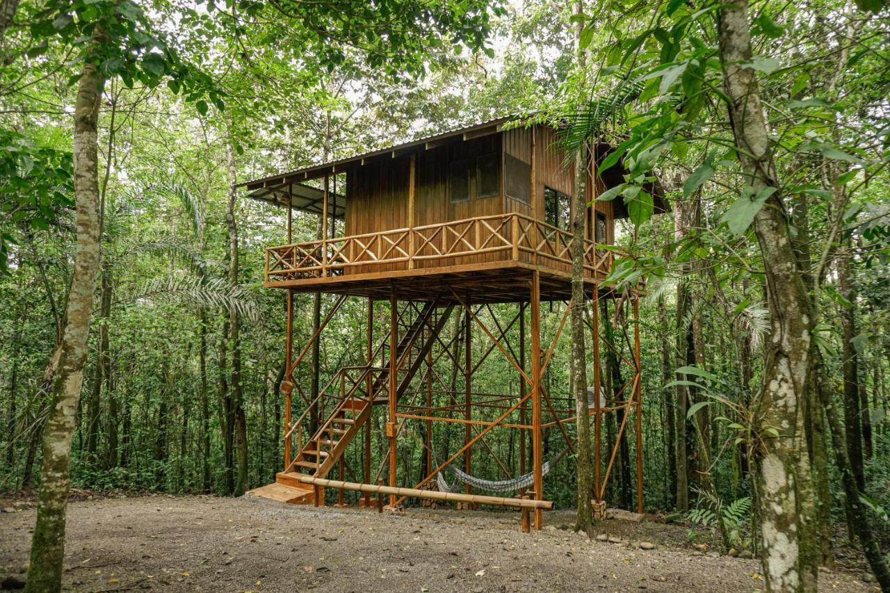 Tree Houses Hotel Costa Rica Florencia Dış mekan fotoğraf