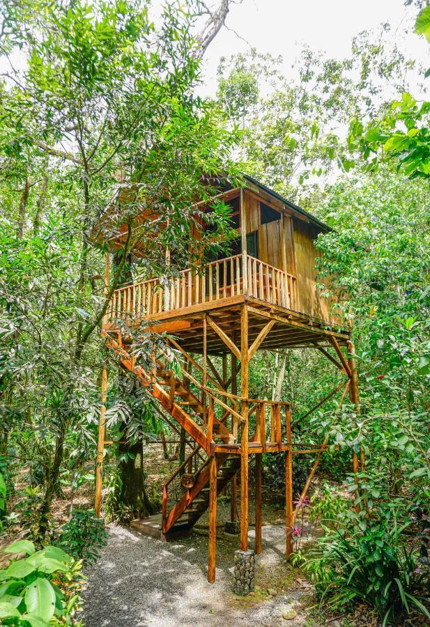 Tree Houses Hotel Costa Rica Florencia Dış mekan fotoğraf