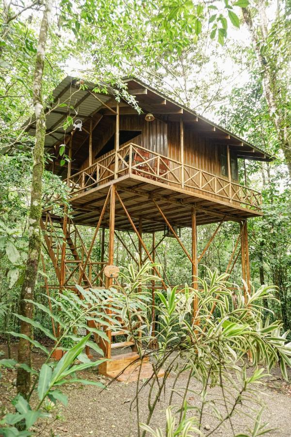 Tree Houses Hotel Costa Rica Florencia Dış mekan fotoğraf