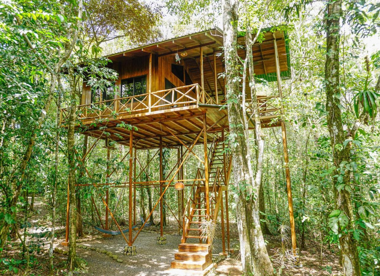 Tree Houses Hotel Costa Rica Florencia Dış mekan fotoğraf
