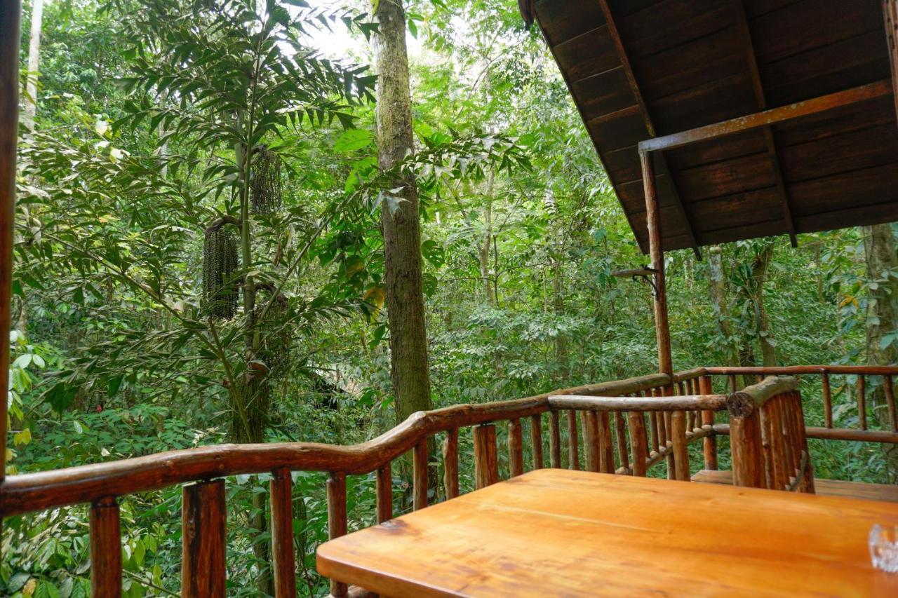 Tree Houses Hotel Costa Rica Florencia Dış mekan fotoğraf
