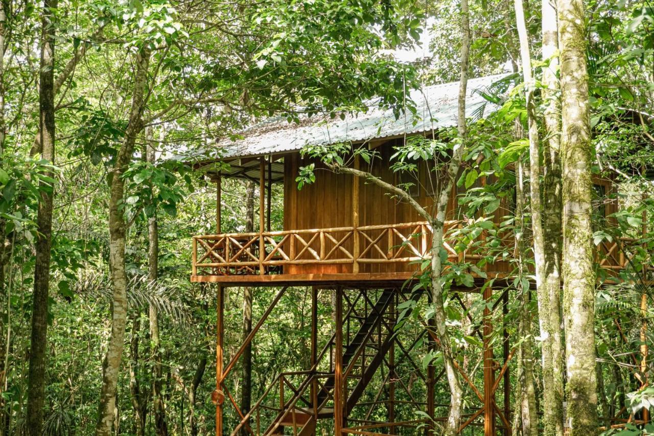Tree Houses Hotel Costa Rica Florencia Dış mekan fotoğraf