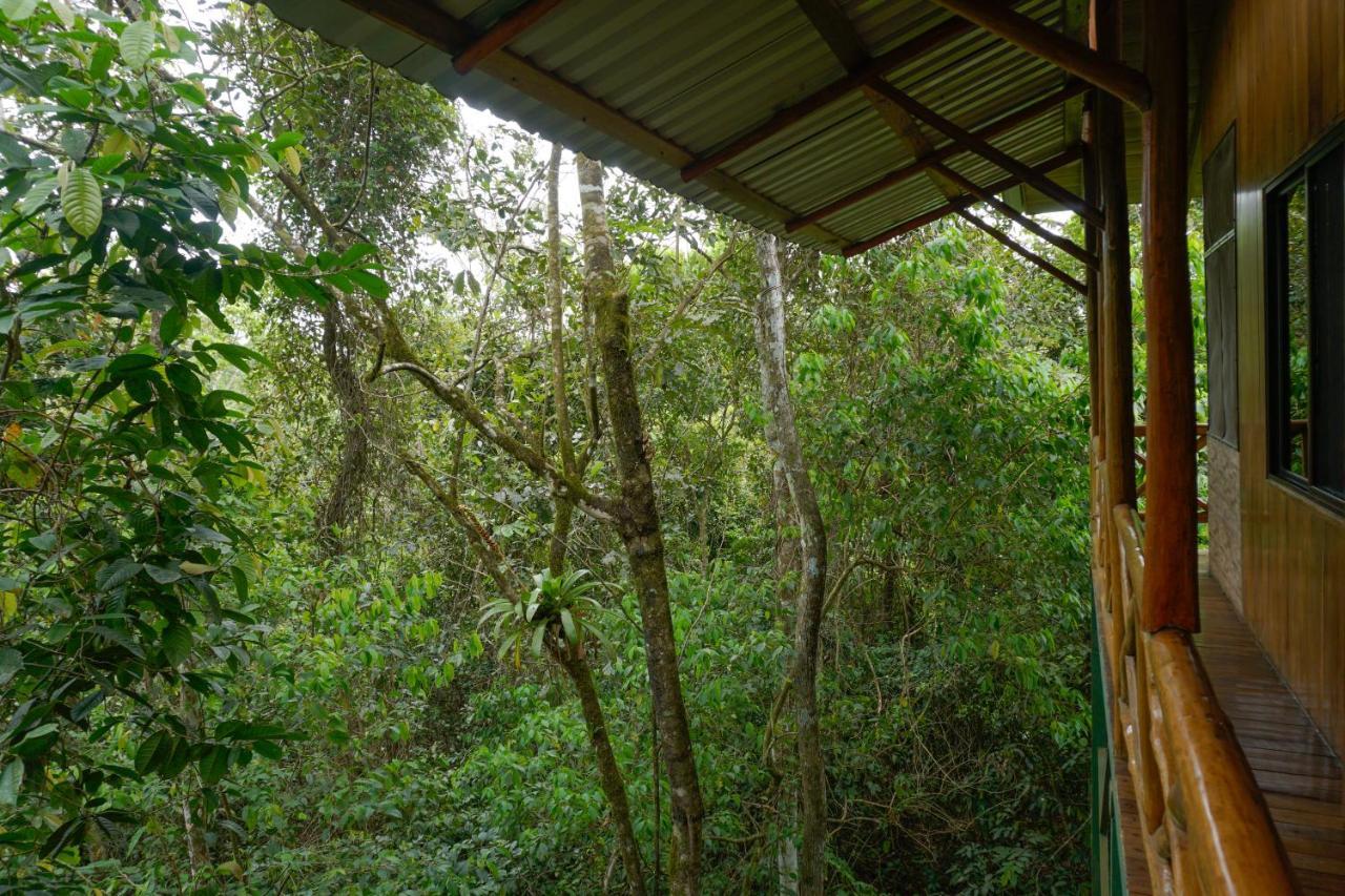 Tree Houses Hotel Costa Rica Florencia Dış mekan fotoğraf
