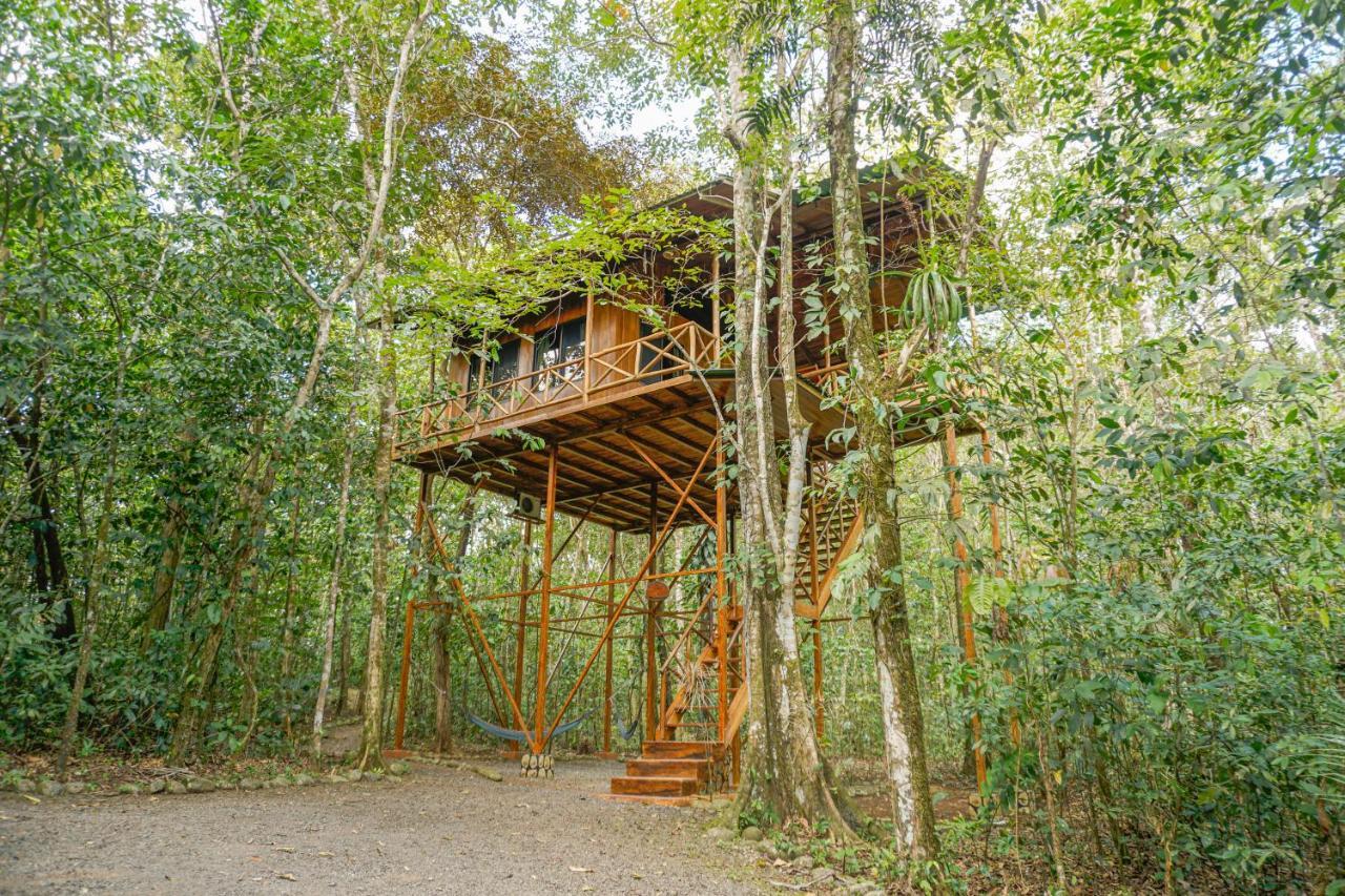 Tree Houses Hotel Costa Rica Florencia Dış mekan fotoğraf