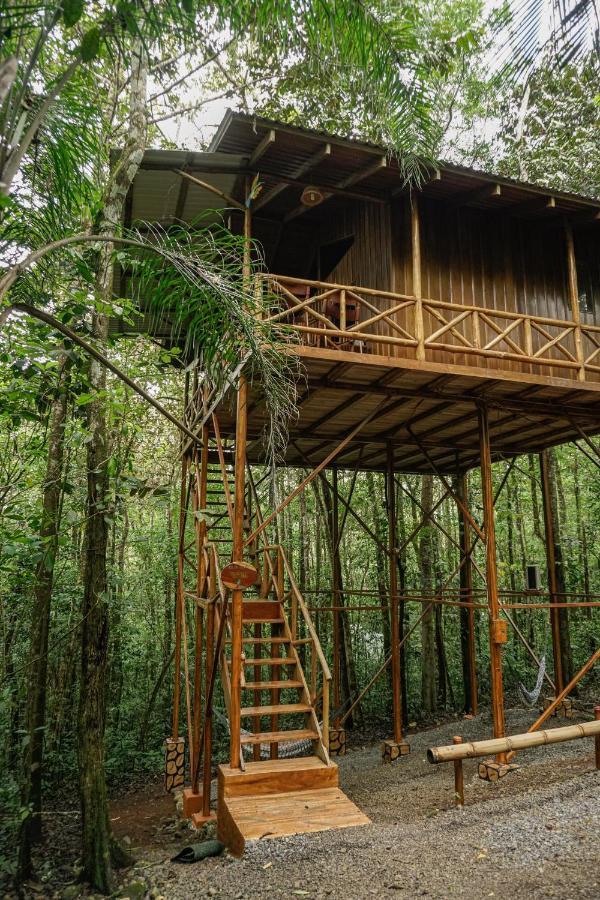 Tree Houses Hotel Costa Rica Florencia Dış mekan fotoğraf