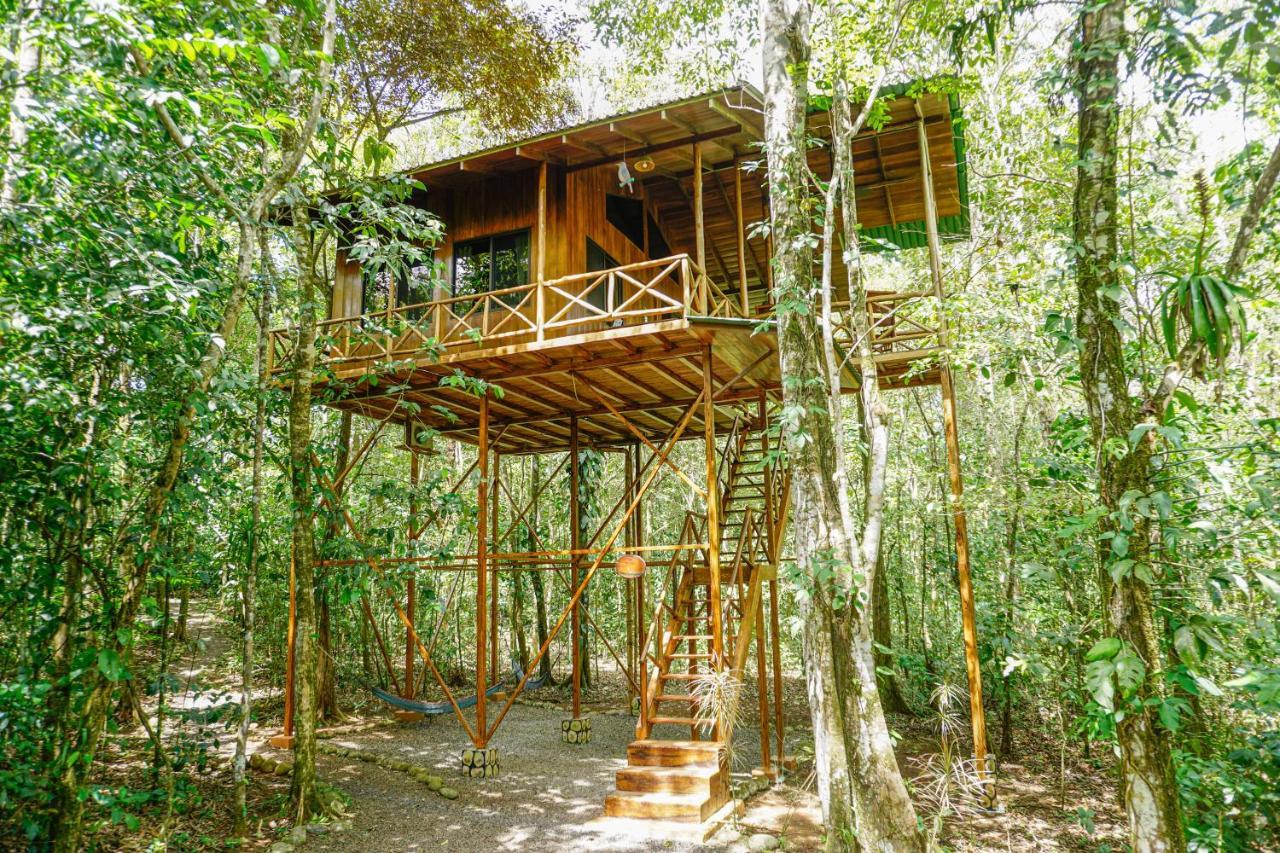 Tree Houses Hotel Costa Rica Florencia Dış mekan fotoğraf
