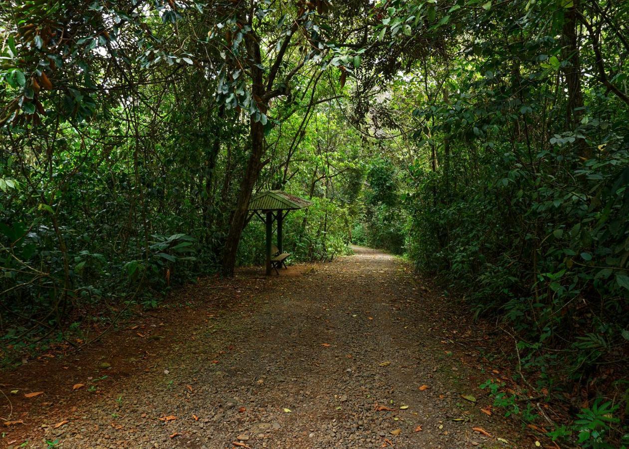 Tree Houses Hotel Costa Rica Florencia Dış mekan fotoğraf