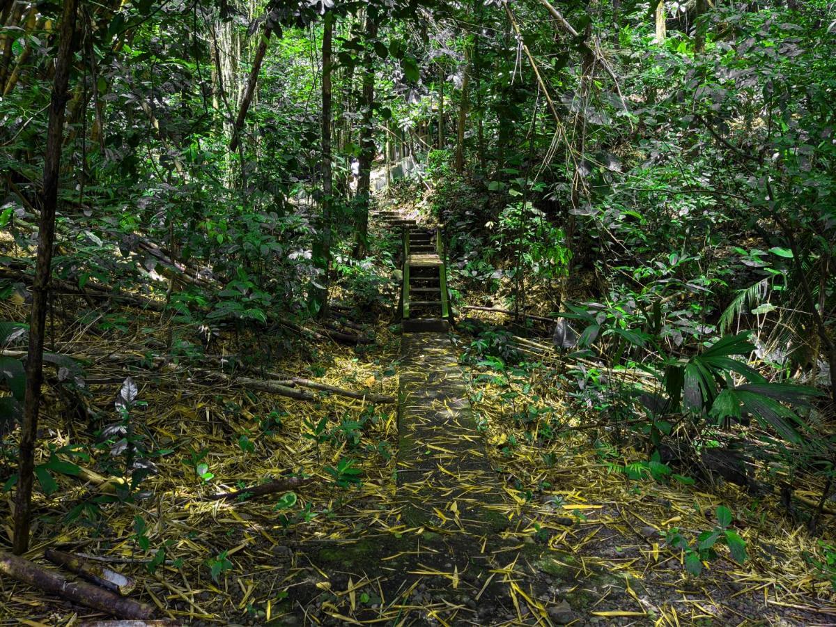 Tree Houses Hotel Costa Rica Florencia Dış mekan fotoğraf